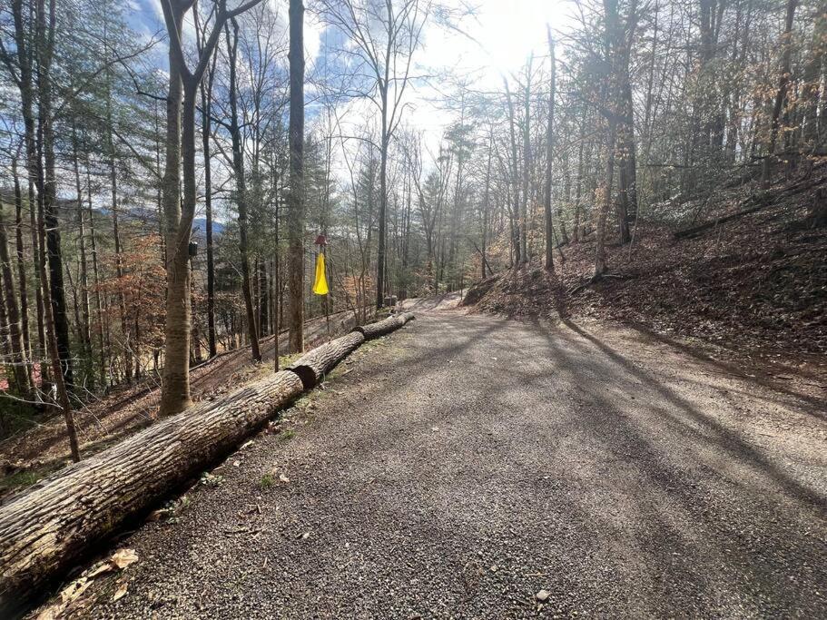 Private Mtn Love Shack W/ Fast Wifi, Bbq & View Franklin Exterior foto
